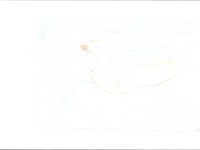 Bild 5 : Bild 5